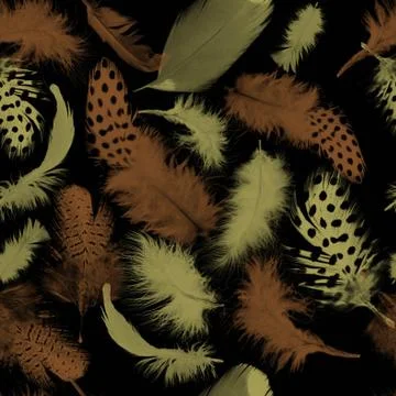 Feathers pattern.Seamless animal texture.Natural background.Birds feather Stock Illustration