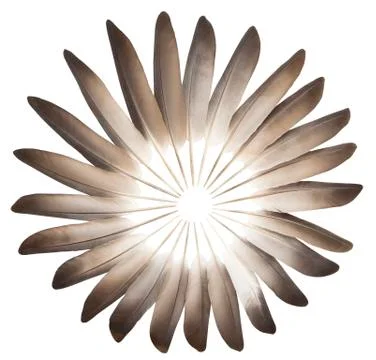 Feathers Stock Photos