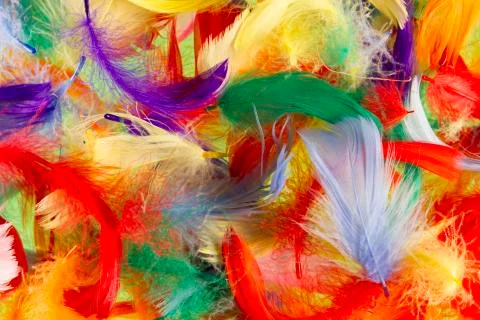 Feathers Stock Photos