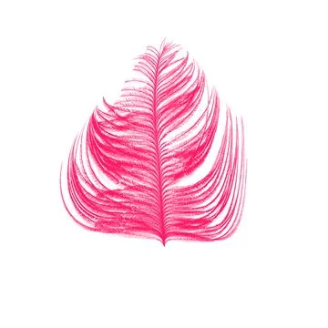 Feathers Stock Photos