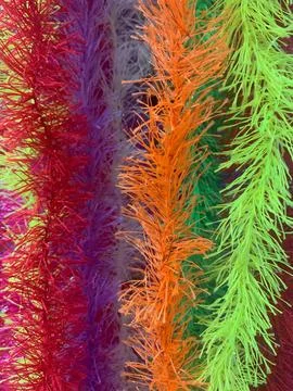 Feathers Stock Photos