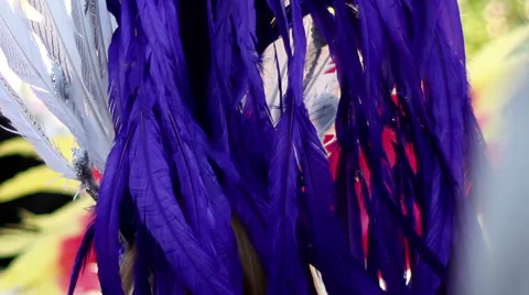 Feathers on Samba Dancers Stock-Footage 51470234