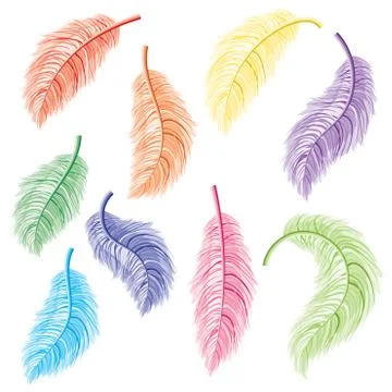 Feathers Set イラスト素材