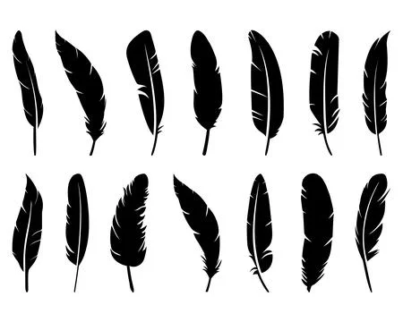 FEATHERS SILHOUETTE VECTOR ART Stock Illustration