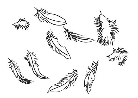 Feathers sketch set vector isolated doodle line Stock Illustration