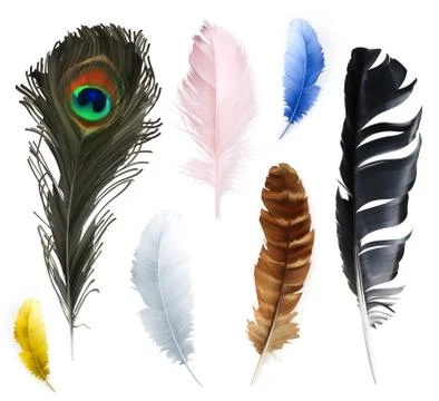 Feathers, vector icons set Stock Illustration