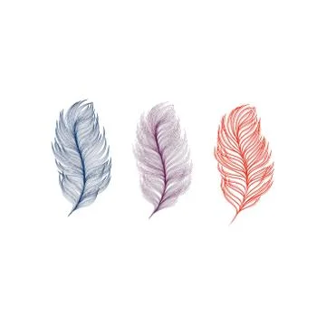 Feathers vector illustration Stock Illustration