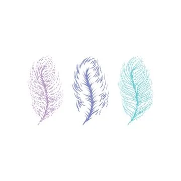 Feathers vector illustration Stock Illustration