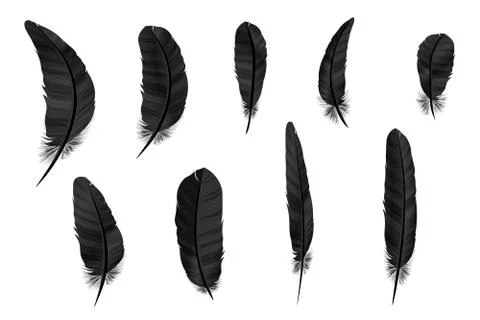 Feathers vector set in a 3d style. Icons feathers isolated on a light backg.. Stock-Illustration