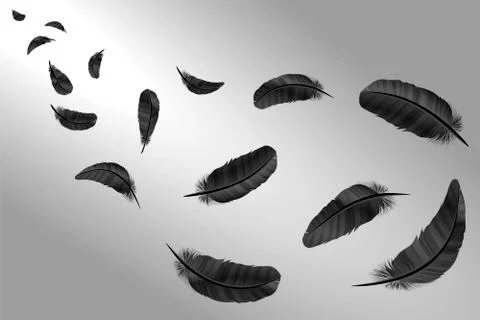 Feathers vector set in a 3d style. Icons feathers isolated on a light backg.. Stock-Illustration