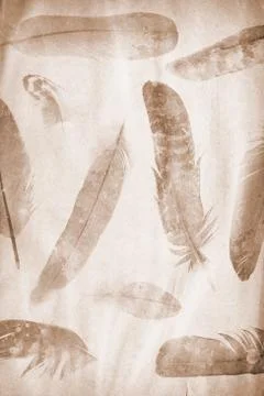 Feathers watermark Stock Photos
