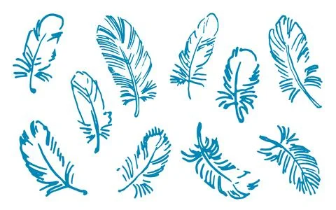 Feathers on white background. Hand drawn black fluffy feathers. Line and Ink Stock Illustration
