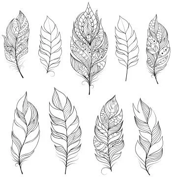 Feathers on white backgrounds Stock Illustration