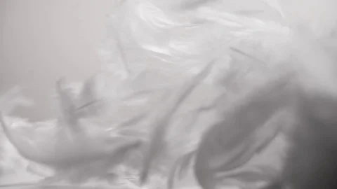 Feathers in the wind on the clean abstract background Stock Footage 83476543