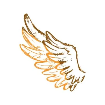 Feathers wing silhouette Illustrazione stock