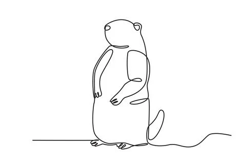 A feathery cute groundhog stands Stock Illustration