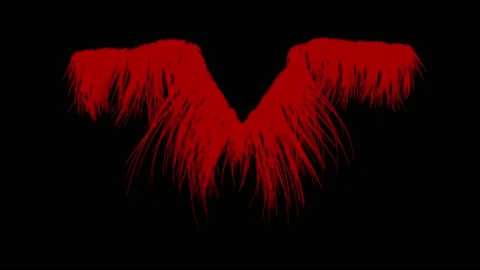 Feathery wings blowing in wind. Isolated on black background 3d animation render Stock Footage 140170160