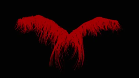 Feathery wings blowing in wind. Isolated on black background 3d animation render Stock Footage 140170174