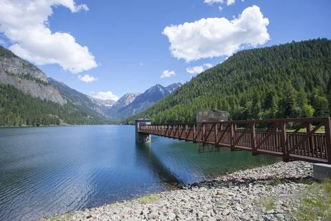 Feature at Lake MacDonald. Stock Photos