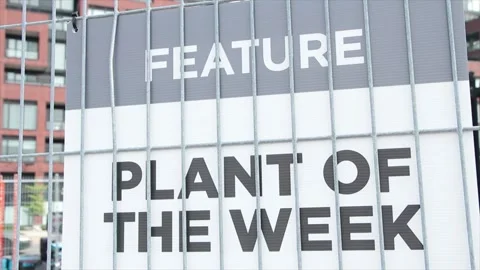 Feature plant of the week caption text writing sign against behind fence Stock Footage 248712720