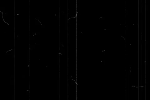 Feature Presentation Stock Footage 335049