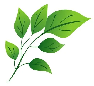 Features a green leaf branch with various leaf shapes, showcasing a smooth Stock Illustration