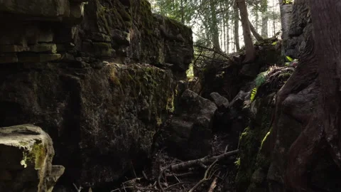 The features of a narrow limestone gully in a forest Stock Footage 154013193