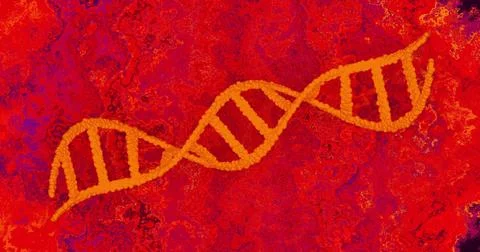 Featuring orange DNA helix with beaded segments twisting on marbled red backdrop Stock Illustration