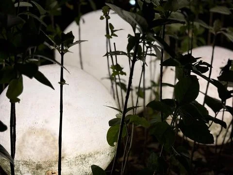 Featuring three large, glowing white spherical lamps partially obscured Stock-Fotos