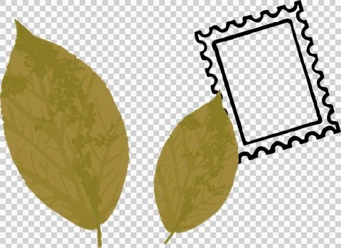 Featuring two olive-toned leaves and flat black scalloped stamp frame on Stock Illustration