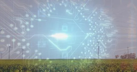 Featuring yellow field and wind turbines at farmland with glowing digital cir Stock Photos