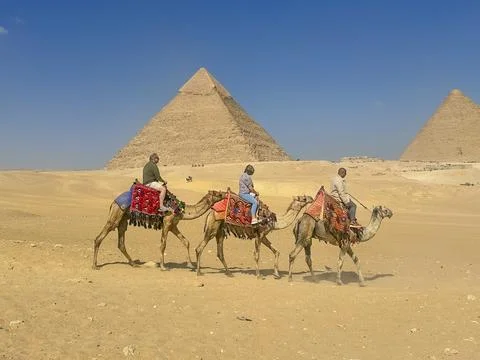 Feb 12, 2026, Egypt, Cairo: Bedouin camels, horses near the Egyptian pyramids Stock Photos