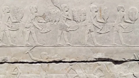 Feb12, 2026, Cairo, Egypt: a wall with ancient Egyptian hieroglyphs Stock Footage 345846826