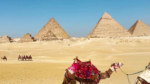 Feb12, 2026, Egypt, Cairo: Bedouin camels,horses near the Egyptian pyramids Stock Footage 339274894