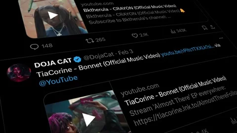 FEBRUARY 21, 2024: Scrolling DOJA CAT, X App, Profile Page on an iPhone Stock Footage 265252634