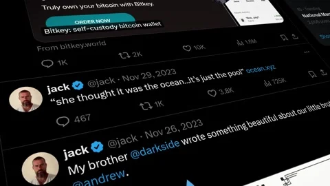 FEBRUARY 22, 2024: Scrolling Jack Dorsey, X App, Profile Page on an iPhone Stock Footage 265459559