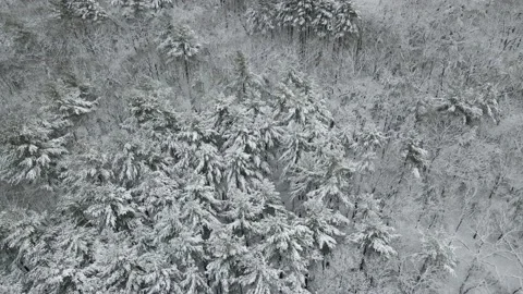 February Blizzard 動画素材 221714485