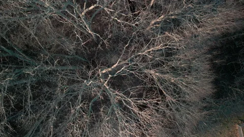 February Drone Shot Looking Down Stock Footage 266464299