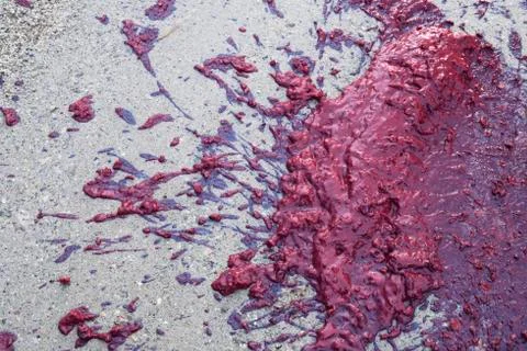 Feces from a Brown bear which has eating frozen lingonberry Stock Photos