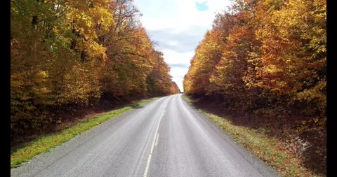 Federal Forest Highway 13 Michigan's Upper Peninsula Stock Footage 288342221