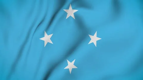 Federated state of Micronesia National flag waving in the wind. seamless loop. Stock Footage 131307207