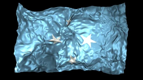 Federated States of Micronesia flag Stock Footage 110806542