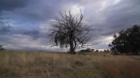 Federation Hill Wodonga time lapse Stock Footage 56299462