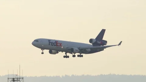 FedEx Cargo McDonnell Douglas MD-11 landing Видео 121344905