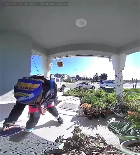 FedEx Delivery Driver Making Work Fun - 06 Mar 2025 Stock Footage 328373893