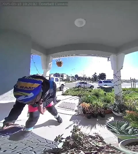 FedEx Delivery Driver Making Work Fun - 06 Mar 2025 Stock Footage 328373894