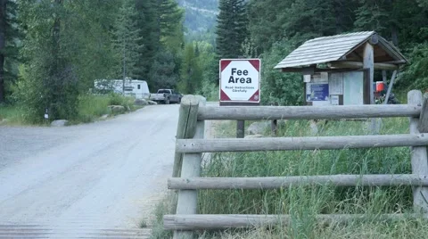Fee Area US Forest Stock Footage 40466204