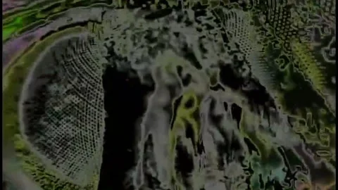 Feed back fly neon HD Stock Footage 221210577