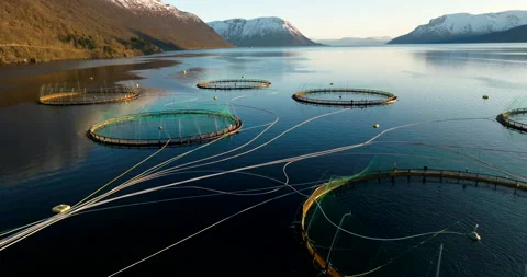 Feed barge connected to fish pens with pipes in fjord with snowy mountain tops Stock Footage 317320680