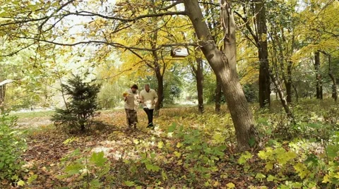 Feed The Birds Video stock 52521696